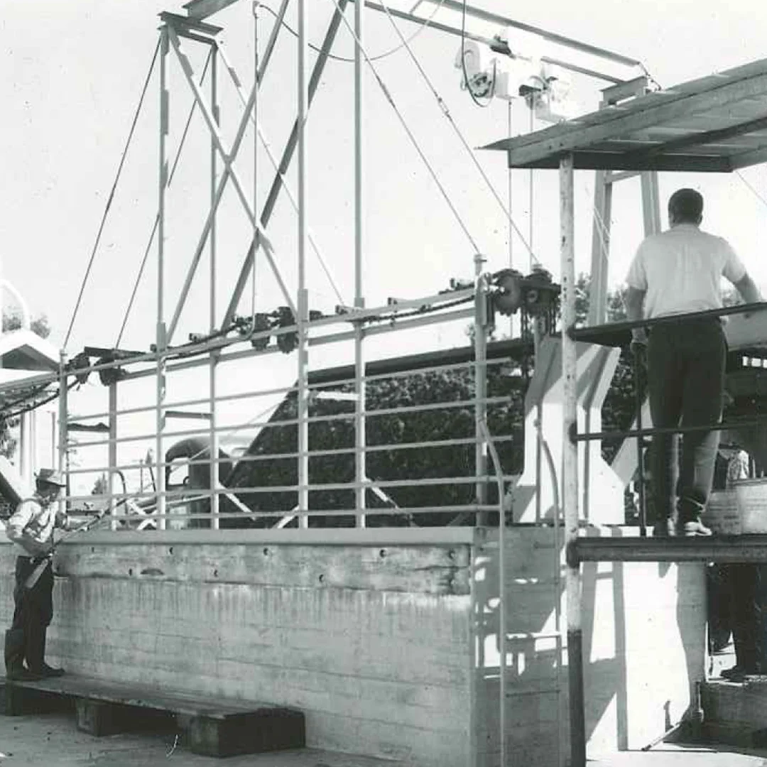 Historic Cadlolo Winery Construction Project, 1948 Historic black-and-white photograph of workers constructing the Cadlolo Winery in 1948, showcasing early construction methods and C.T. Brayton & Sons craftsmanship.