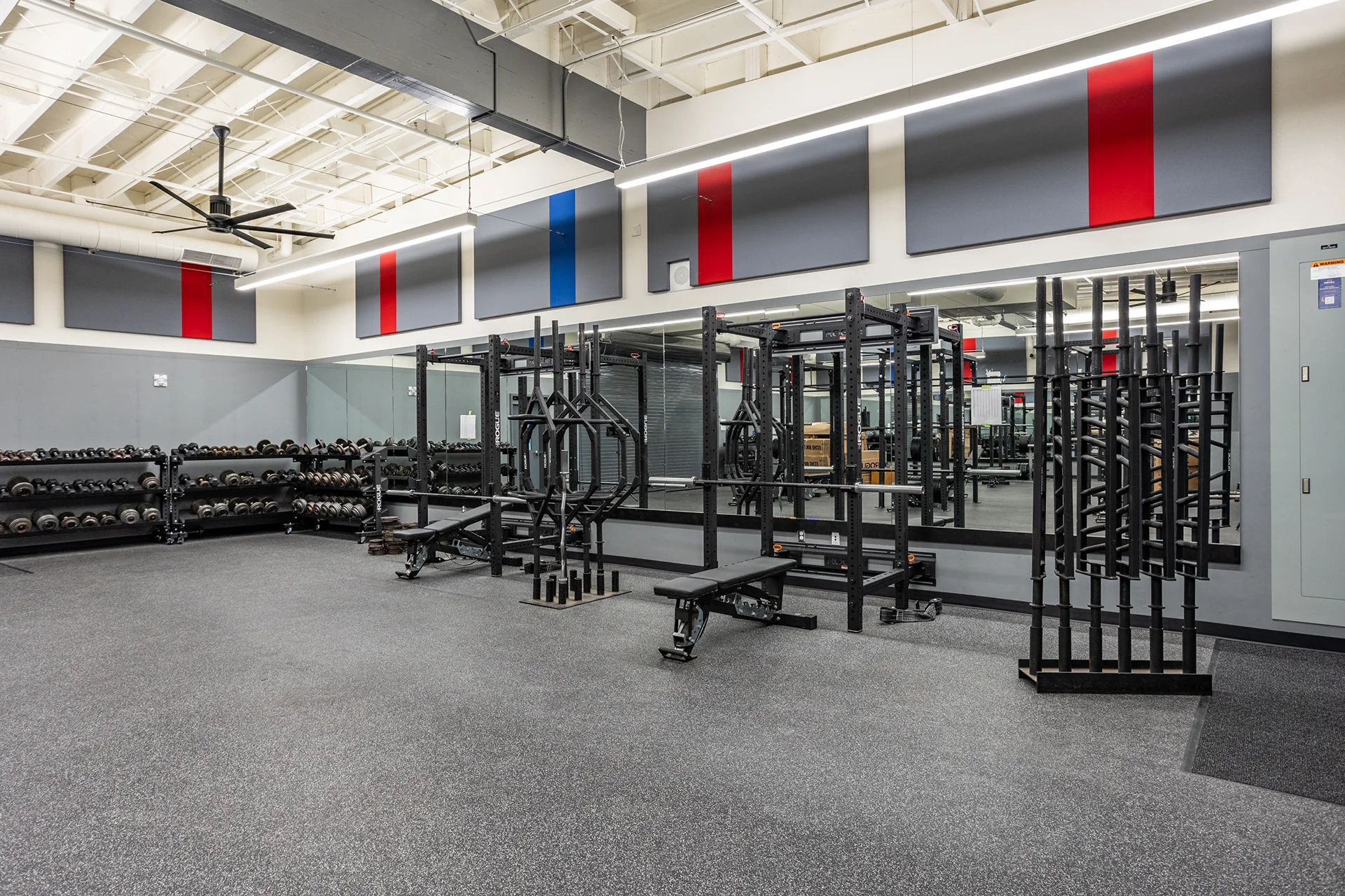 Athletic facility weight training zone showcasing heavy-duty black steel dumbbell storage shelves, specialized hex bars, full-length glass wall mirrors, and red and blue decorative acoustical treatment panels.